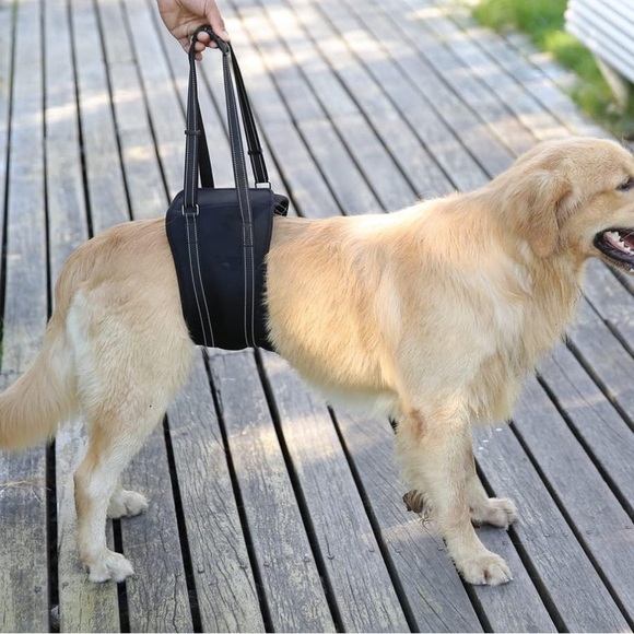 Dog Sling/Harness for Hind Leg Support - Picture 4 of 4